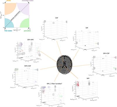 Multidimensional Diffusion MRI Methods With Confined Subdomains